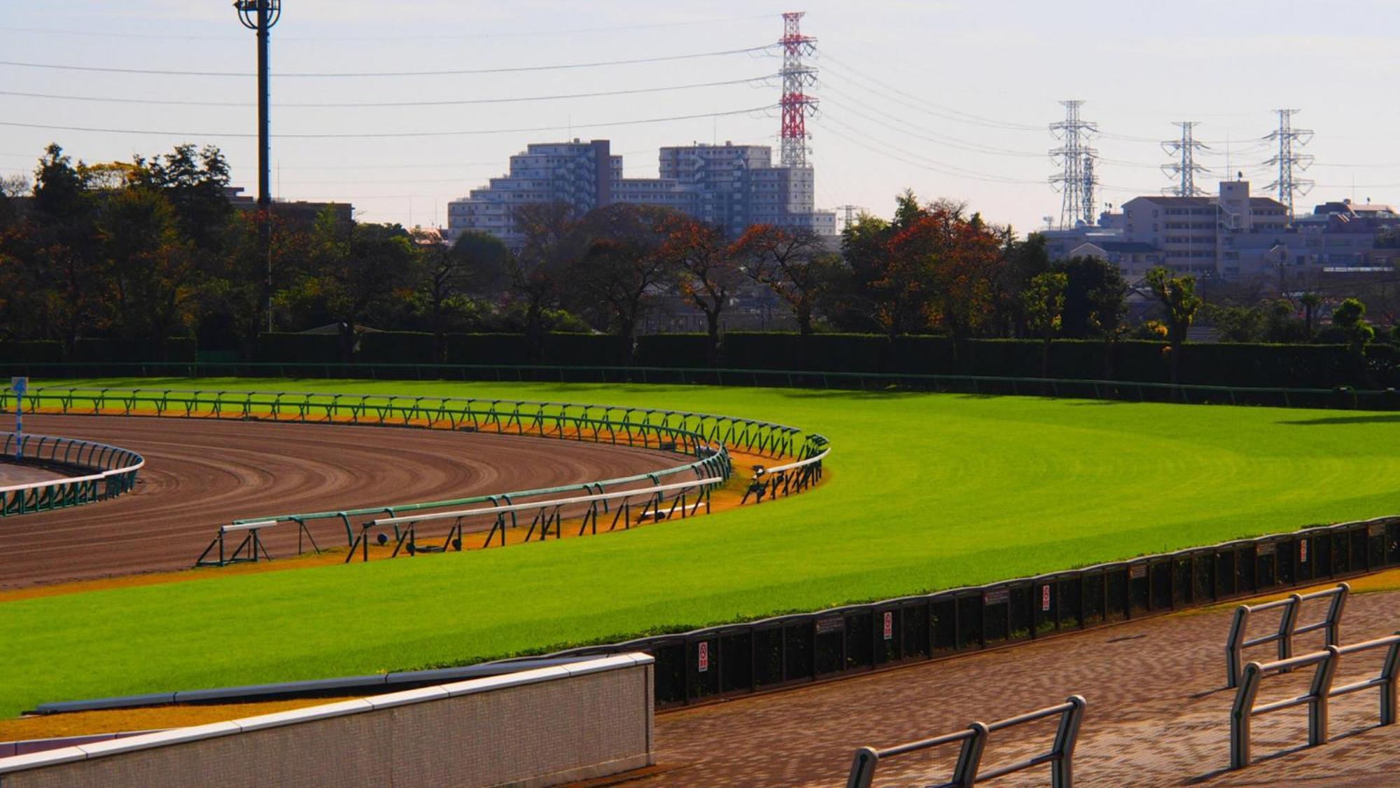 Toyoko Inn Nishi Funabashi Baraki Inter Ichikawa Εξωτερικό φωτογραφία